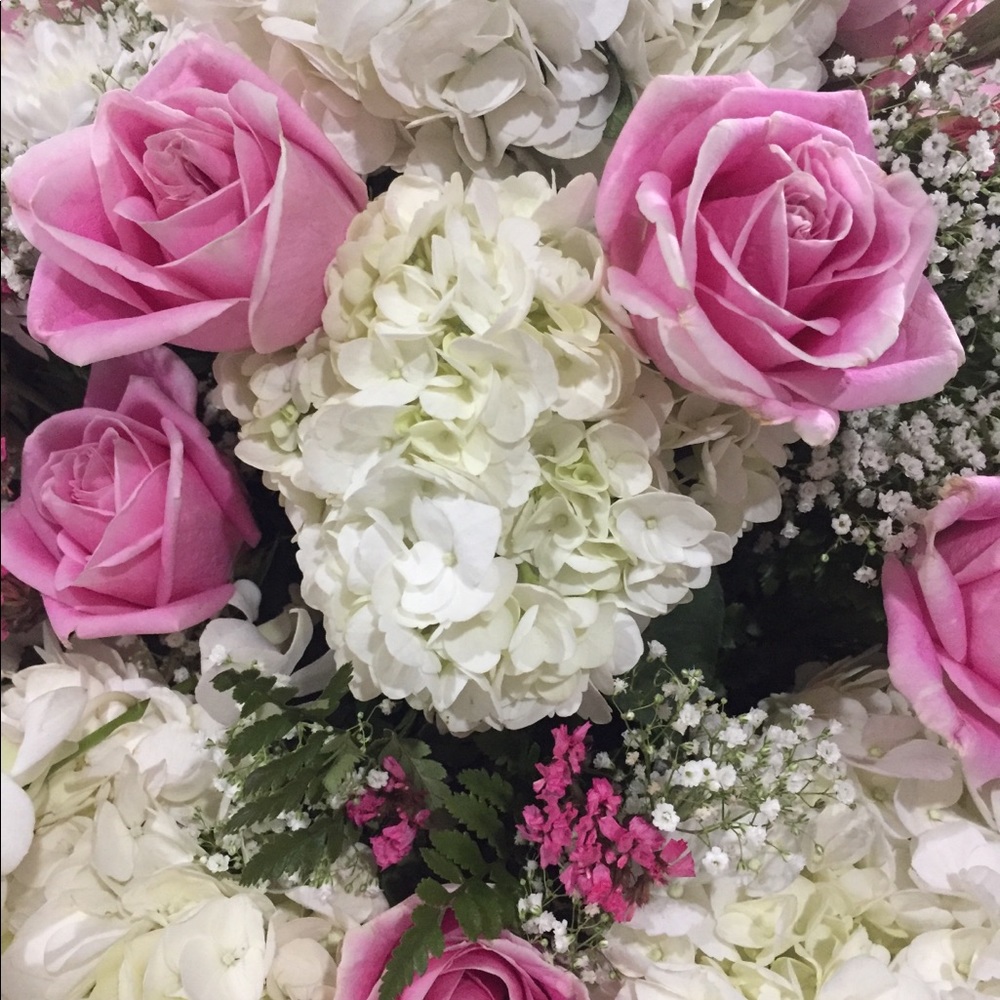 Meet your Posher, Alina